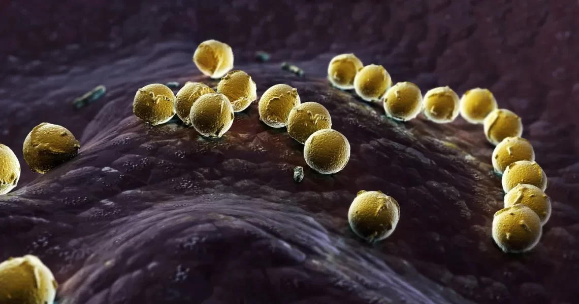 soigner l'érysipèle Solution naturelle