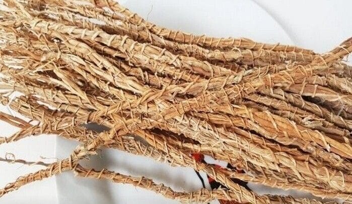 gongoli pour tomber enceinte