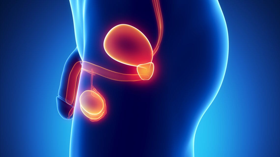 Solution pour soigner la Prostate