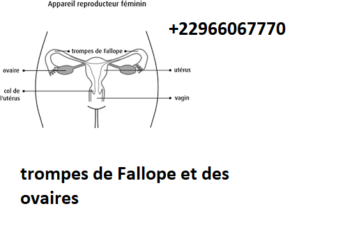 Déboucher Les Trompes Pour Tomber Enceinte