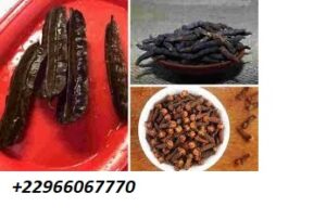 Envie d'avoir de bébé : Belgique