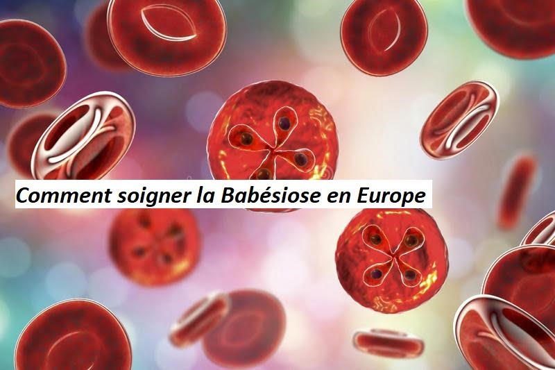 Comment soigner la Babésiose en Europe