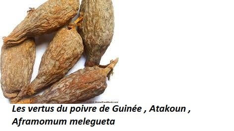 Les vertus du poivre de Guinée , Atakoun , Aframomum melegueta
