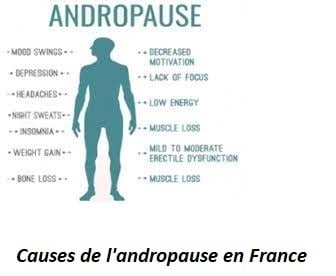 Causes de l'andropause en France