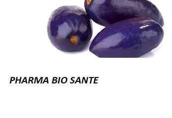 Le Prunier d'Afrique bienfaits et vertus