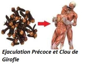 Éjaculation Précoce Solutions Naturelles