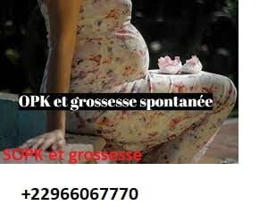 Gingembre pour Tomber Enceinte