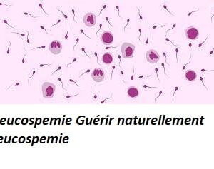 Leucospermie Cause Symptôme Traitement