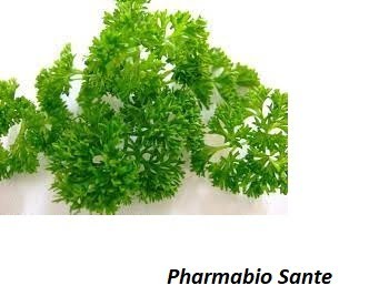 Recette à base du persil