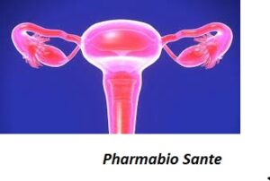 Recette Naturelle pour Déboucher les Trompes