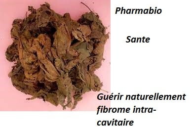 Tomber Enceinte Naturellement