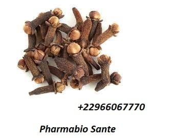 Maladies soignées par Syzygium aromaticum