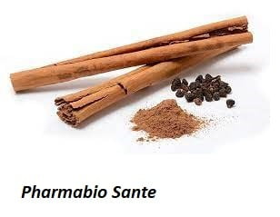 Cinnamomum verum bienfaits et vertus du cannelle