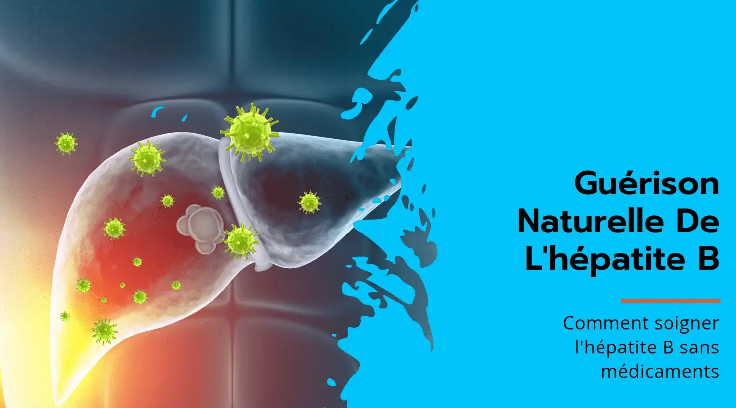 Hépatite b guérison spontanée