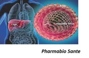 plante contre hépatite B