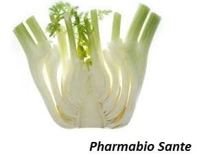 Posologie du Fenouil