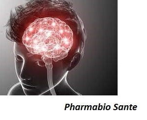 Plantes Médicinales contre l'Epilepsie