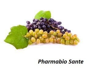 Épilepsie et Raisin