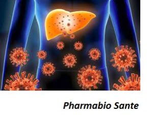 Traitement Naturel de l'Hépatite B