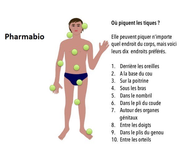 Soigner maladie de lyme