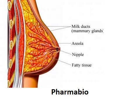 Soigner la galactorrhée naturellement
