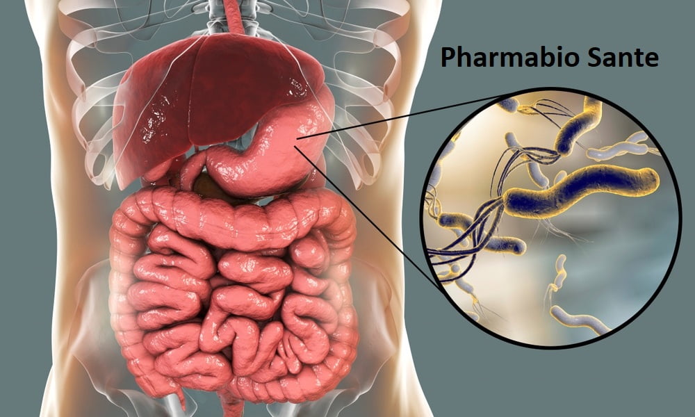 Helicobacter pylori Solution Naturelle