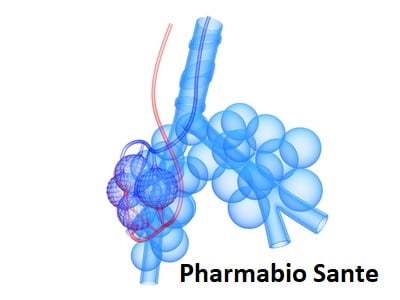 Soigner atélectasie naturellement avec ail