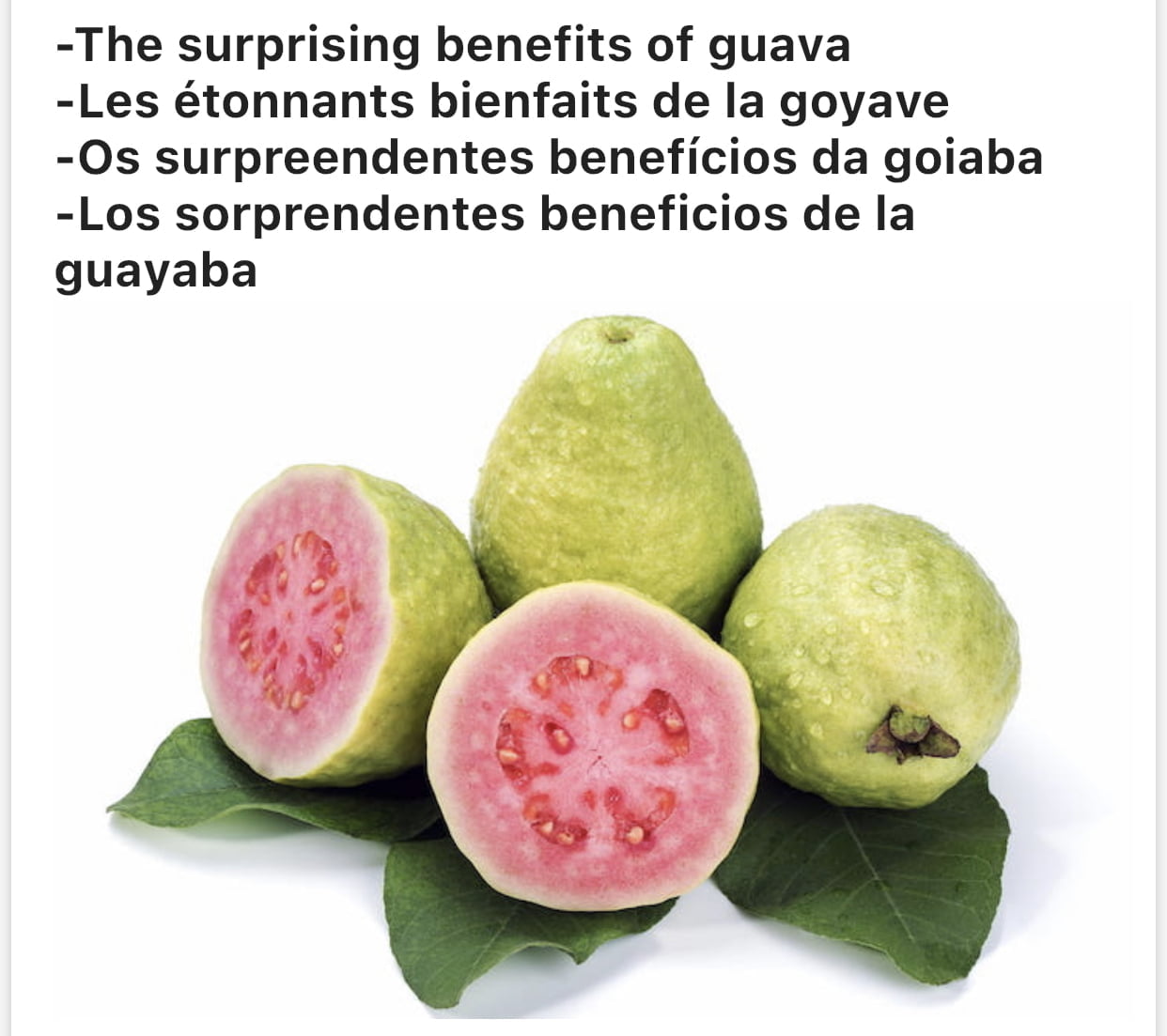 Bienfaits et Vertus du Goyave