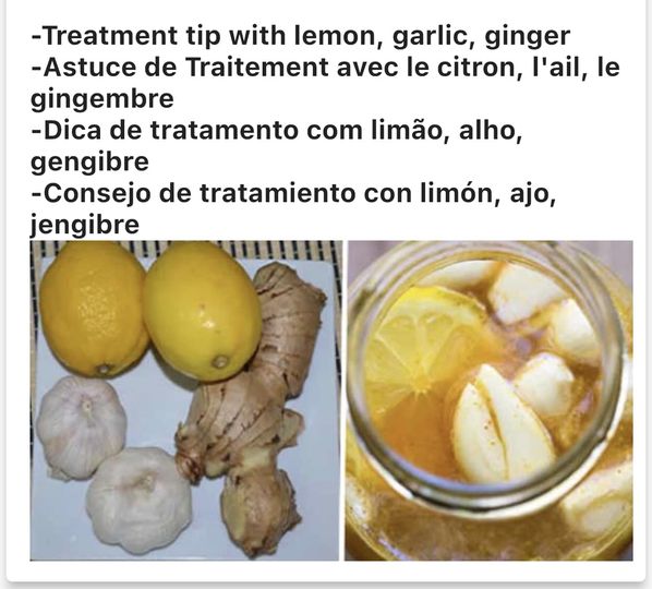 Traiter naturellement les artères obstruées