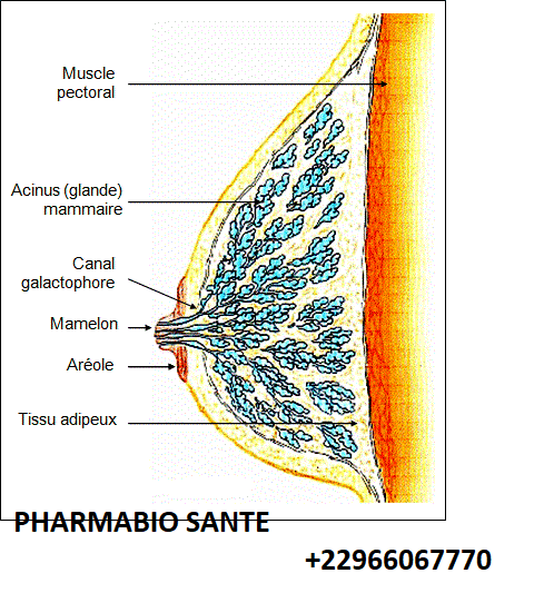 Comment soigner Galactorrhée naturellement