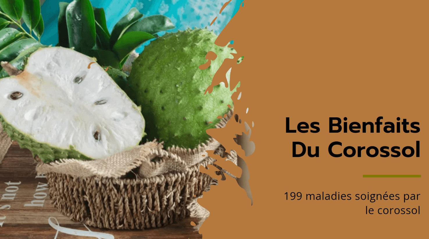 Maladies Soignées Par Corossol