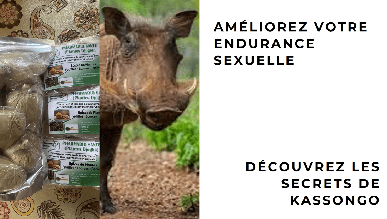 L’Endurance et Kassongo