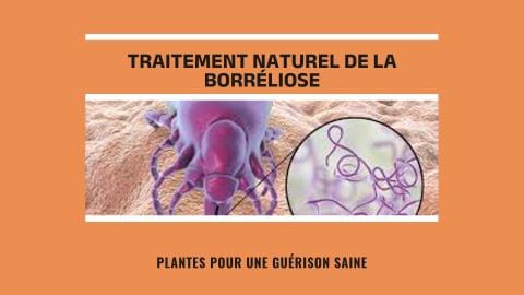 Borréliose de Lyme Traitement Plantes