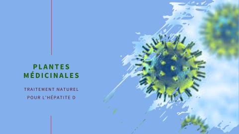 hépatite D Traitement Naturel