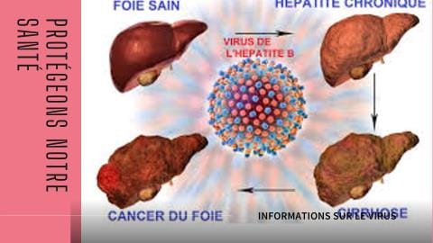 Virus de l’Hépatite B