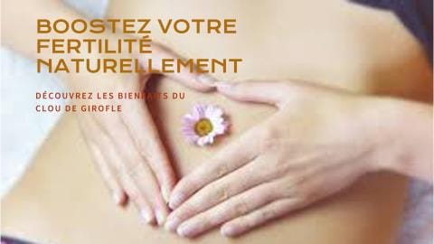 Solution Naturelle Booster la Fertilité