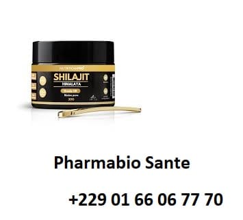 Shilajit Bienfaits