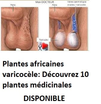 plantes africaines varicocèle