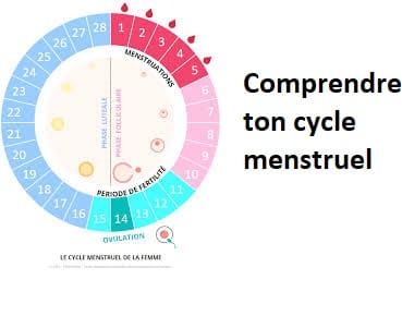 Comprendre ton cycle menstruel