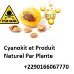 Cyanokit et Produit Naturel Par Plante