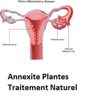 Annexite Plantes Traitement Naturel