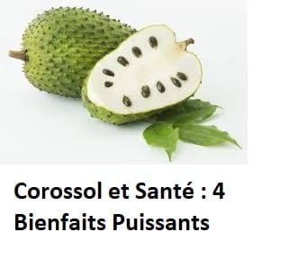 Corossol Bienfaits Puissants