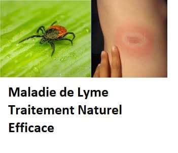 Maladie de Lyme Traitement Naturel