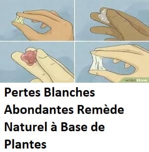 Pertes Blanches Abondantes Remède Naturel