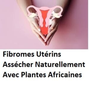 Fibromes Utérins Assécher Naturellement Avec Plantes Africaines