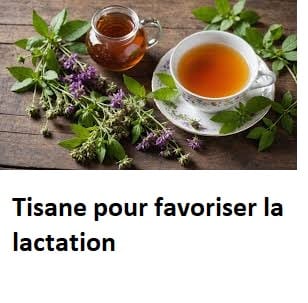 Tisane pour favoriser la lactation