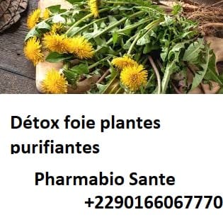 Détox foie plantes purifiantes