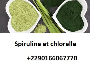 Spiruline et chlorelle