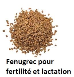 Fenugrec pour fertilité et lactation