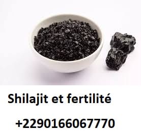 Shilajit et fertilité